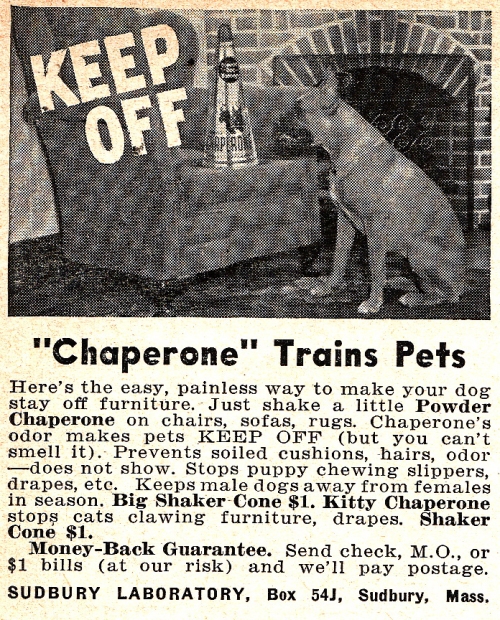 chaperone_trains_pets
